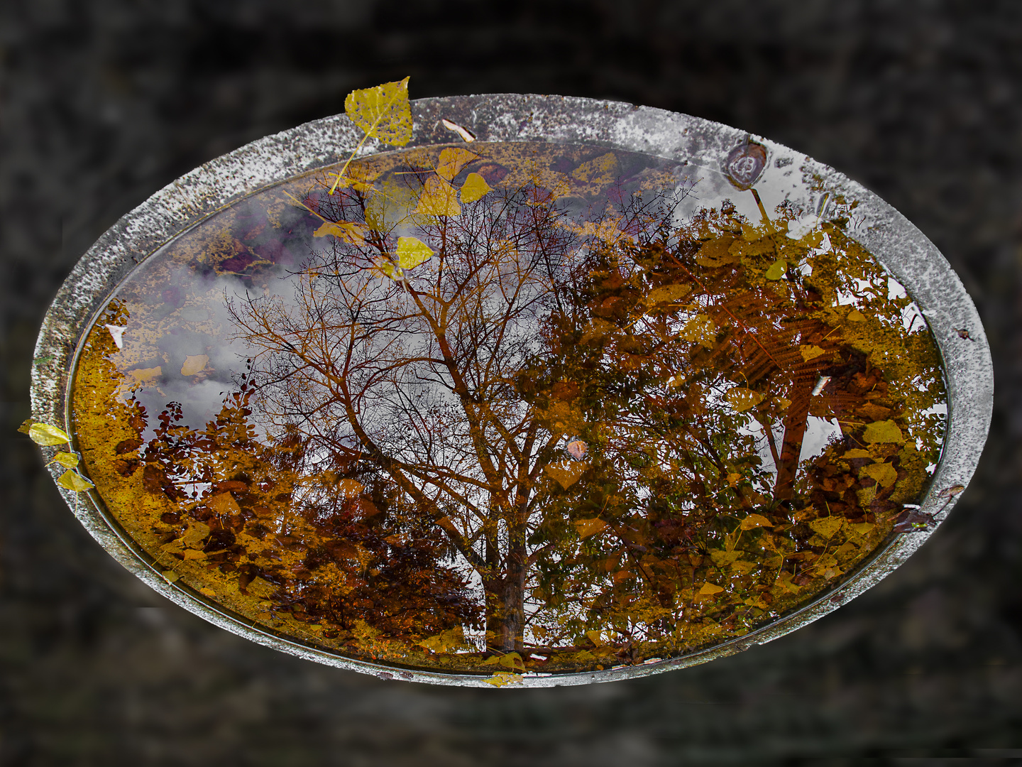 Herbstlandschaft in der Bütt