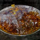 Herbstlandschaft in der Bütt