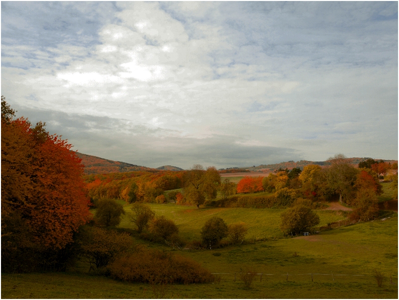 Herbstlandschaft in der Eifel