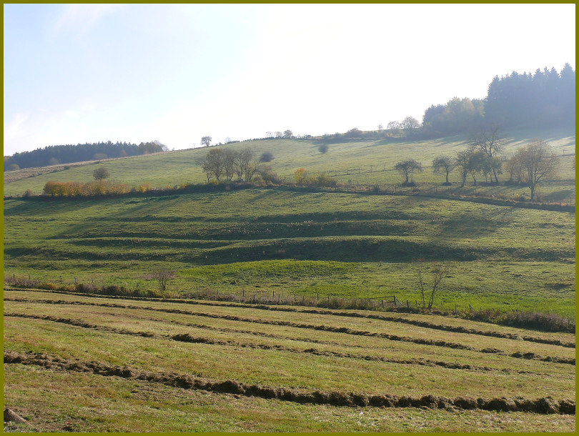 Herbstlandschaft in der Eifel