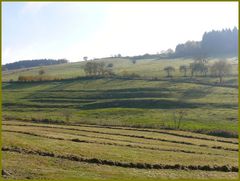 Herbstlandschaft in der Eifel