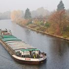 HERBSTLANDSCHAFT IN DER STADT