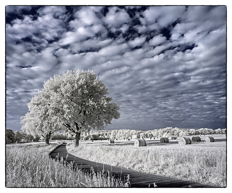 HERBSTLANDSCHAFT in Infrarot