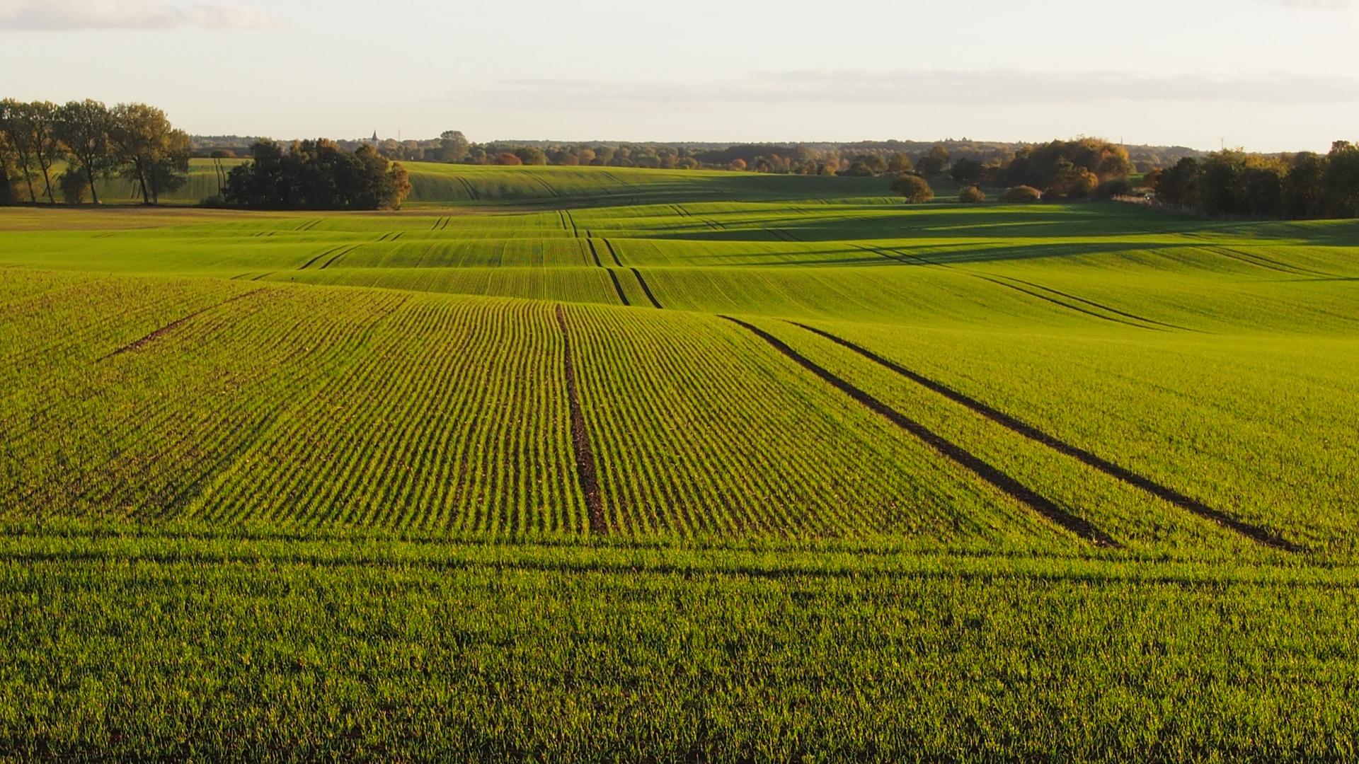 Herbstlandschaft in Ostholstein