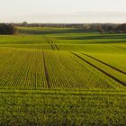 Herbstlandschaft in Ostholstein