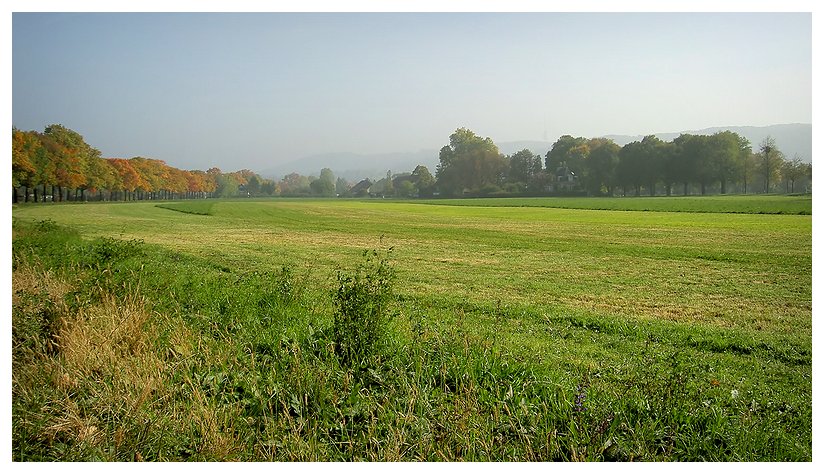 Herbstlandschaft in Riehen
