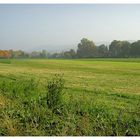 Herbstlandschaft in Riehen