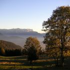 Herbstlandschaft in Salzburg