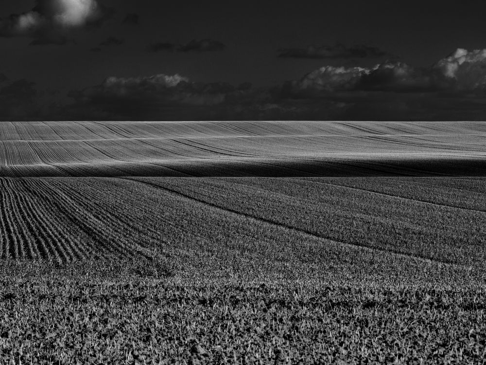 herbstlandschaft in s/w ..