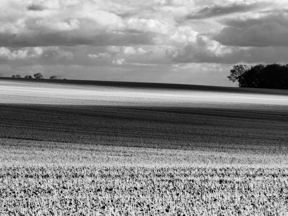 herbstlandschaft in s/w .