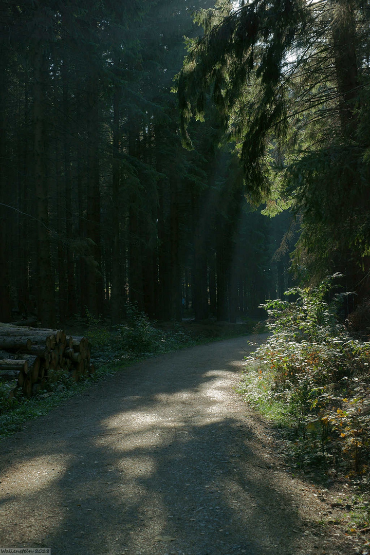 Herbstlandschaft in Westphalen