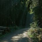 Herbstlandschaft in Westphalen