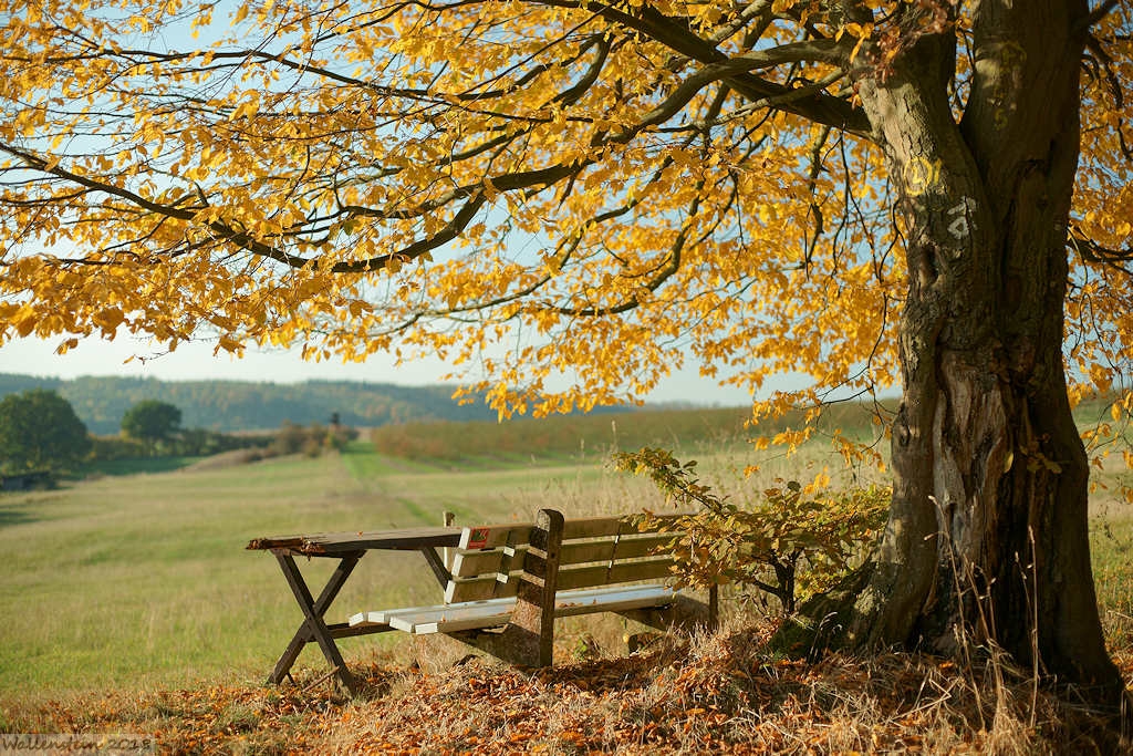 Herbstlandschaft in Westphalen