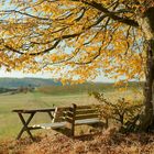 Herbstlandschaft in Westphalen