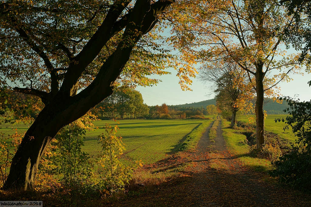 Herbstlandschaft in Westphalen