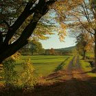 Herbstlandschaft in Westphalen