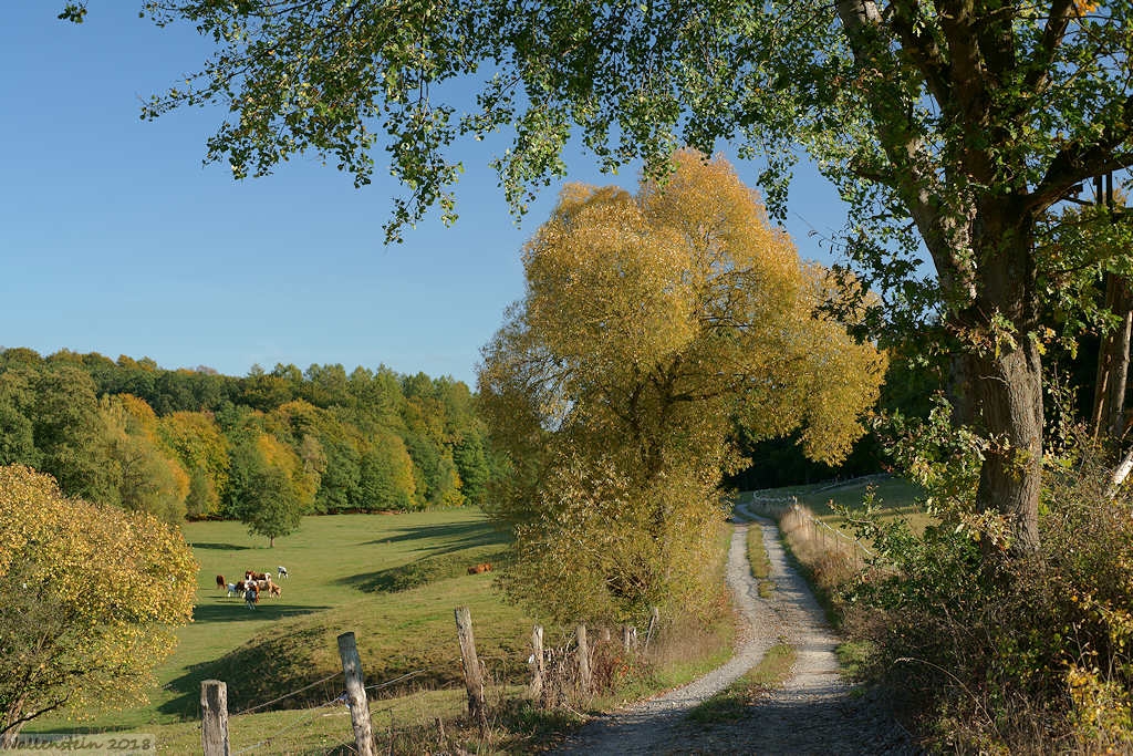 Herbstlandschaft in Westphalen