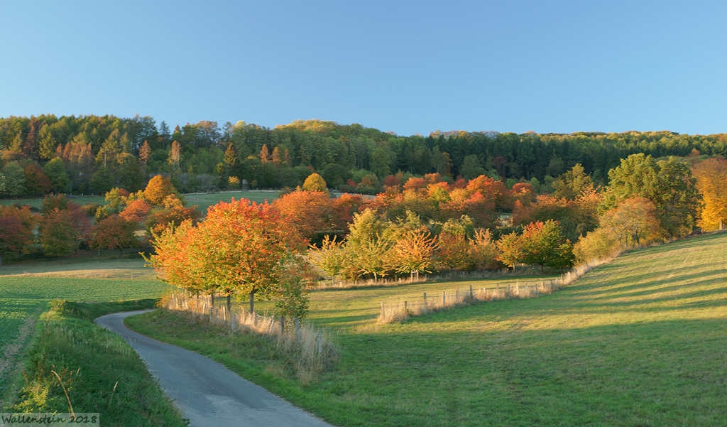 Herbstlandschaft in Westphalen