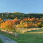 Herbstlandschaft in Westphalen