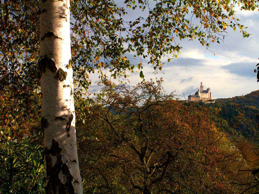 Herbstlandschaft mit Burg (Marksburg)