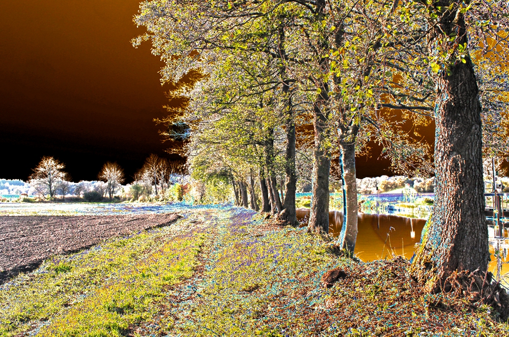 Herbstlandschaft mit Flusslauf 1