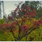 Herbstlandschaft mit Funkturm