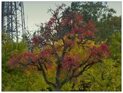 Herbstlandschaft mit Funkturm