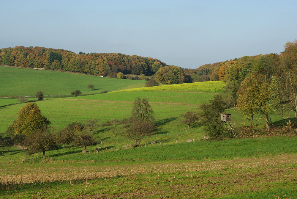 Herbstlandschaft mit Hochsitz