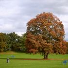 Herbstlandschaft mit Mülleimer