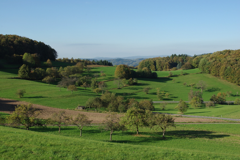 Herbstlandschaft mit Weitblick