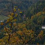 Herbstlandschaft mit Zug