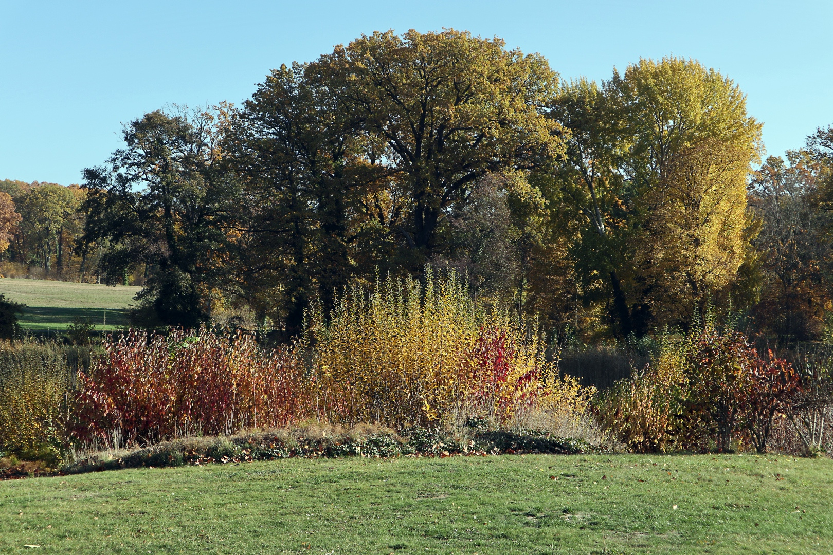 Herbstlandschaft nahe Park Sanssouci