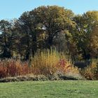 Herbstlandschaft nahe Park Sanssouci