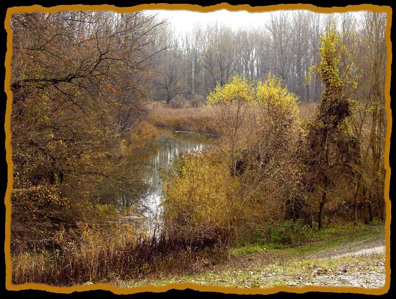 Herbstlandschaft neben der Isar