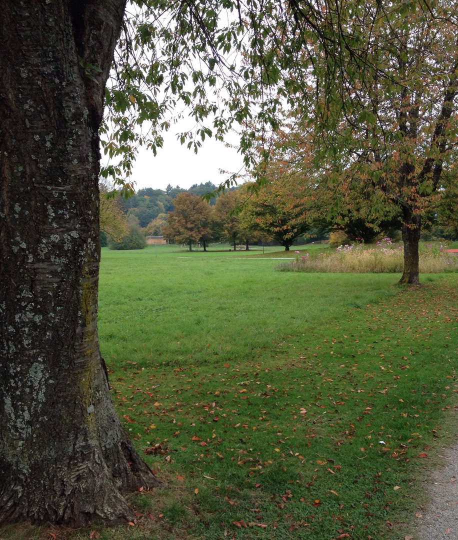 """ Herbstlandschaft """ Park