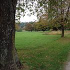 """ Herbstlandschaft """ Park