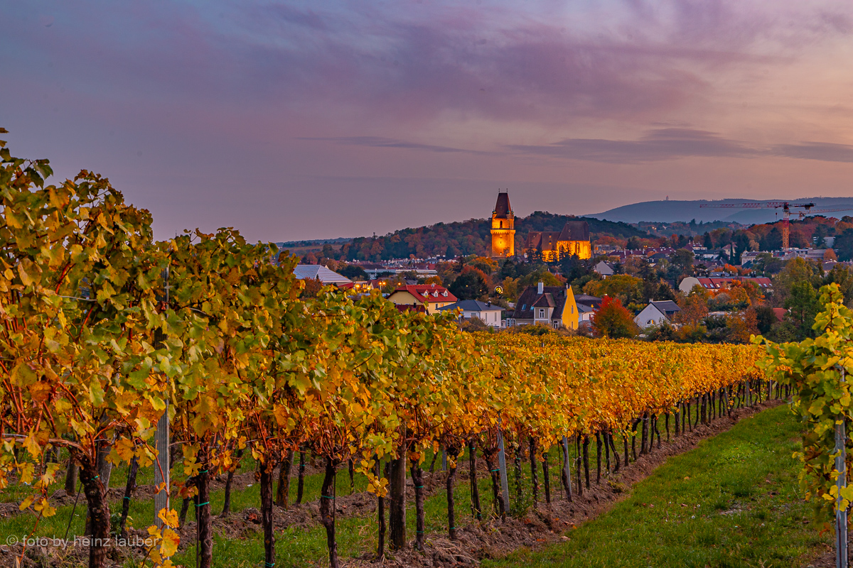 HERBSTLANDSCHAFT-PERCHTOLDSDORF