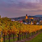 HERBSTLANDSCHAFT-PERCHTOLDSDORF