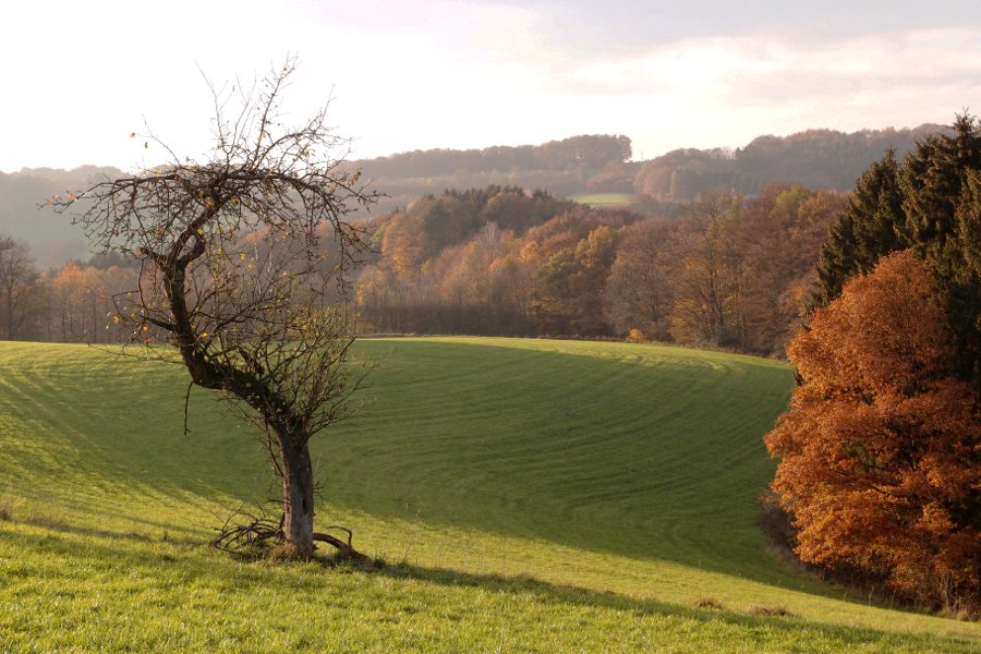 Herbstlandschaft RBK