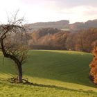 Herbstlandschaft RBK