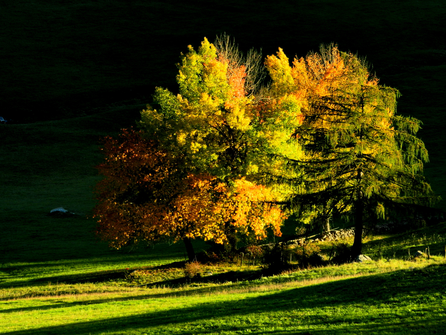 Herbstlandschaft Südtirol