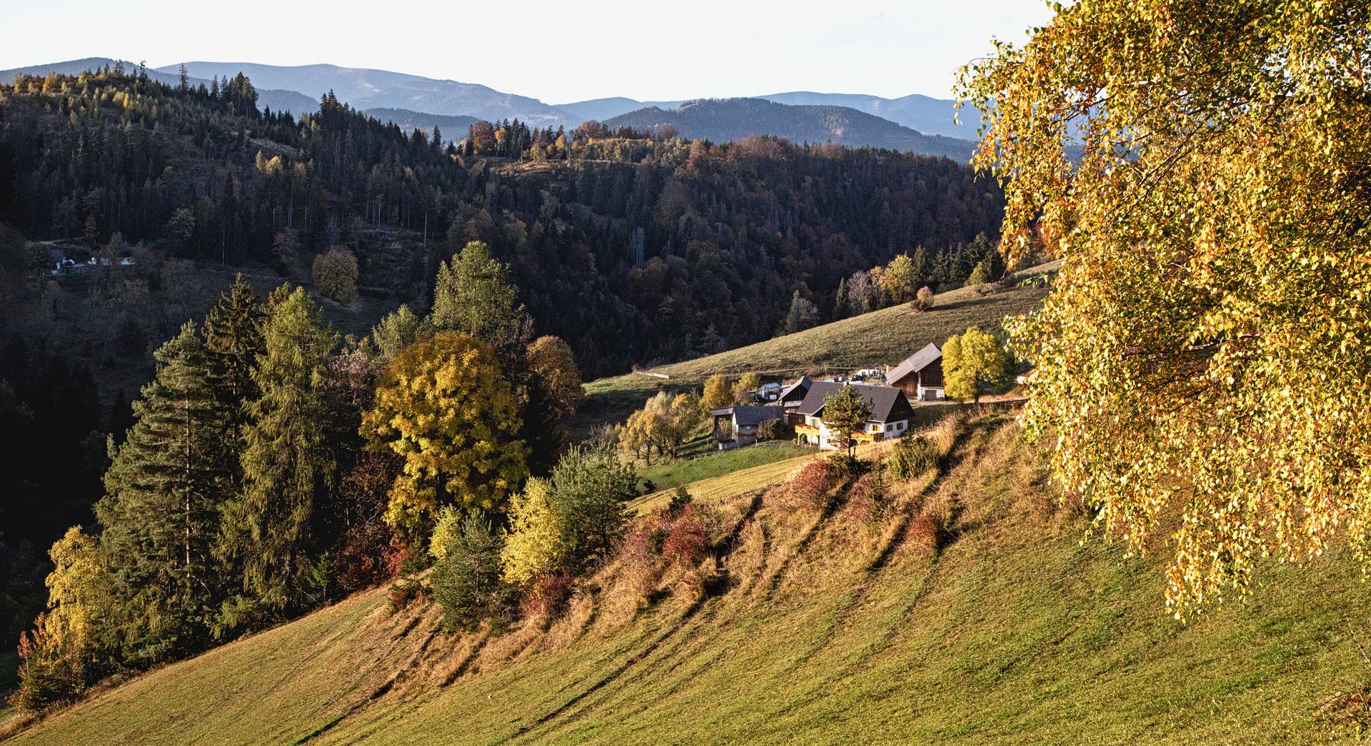 Herbstlandschaft vom Plesch aus gesehen