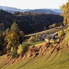 Herbstlandschaft vom Plesch aus gesehen