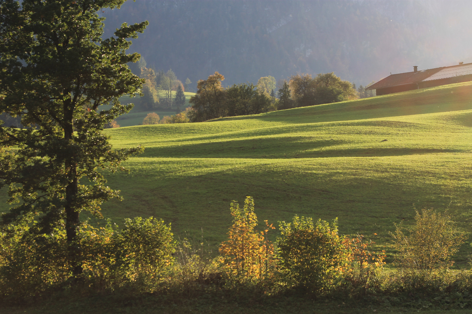 Herbstlandschaft Walchsee