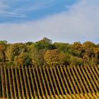 Herbstlandschaft Weinberge