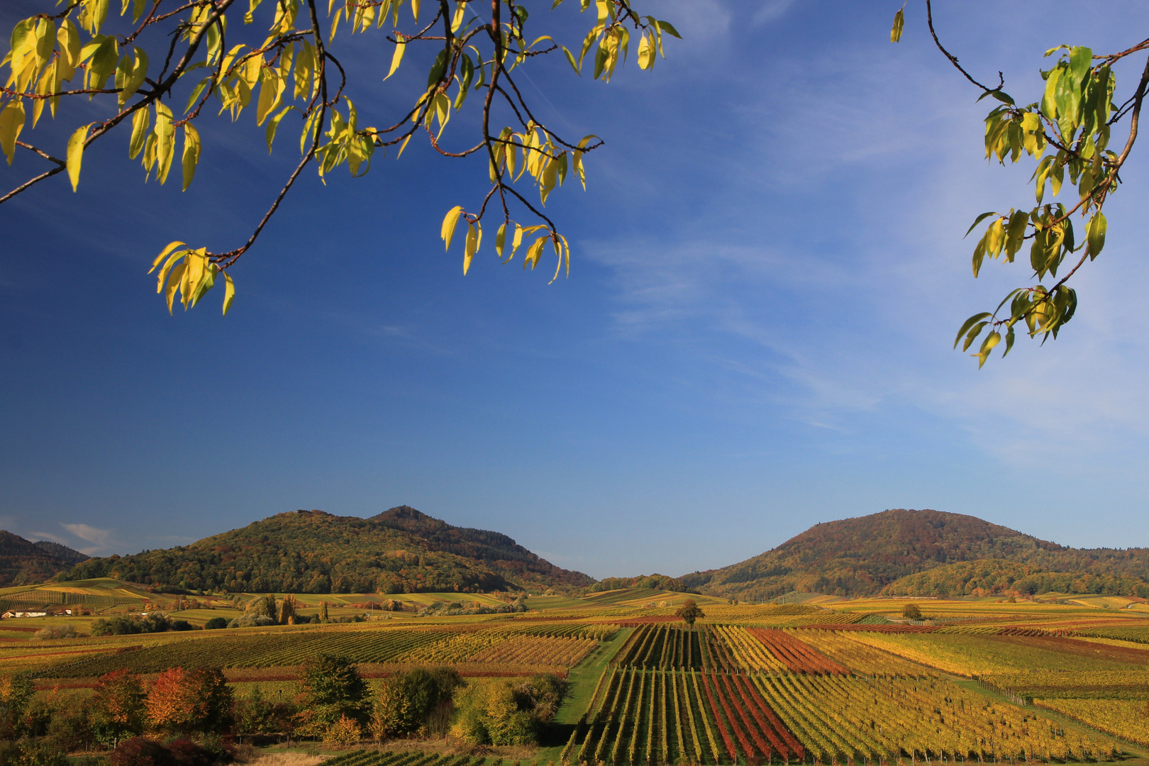 Herbstlandschaft zum Träumen