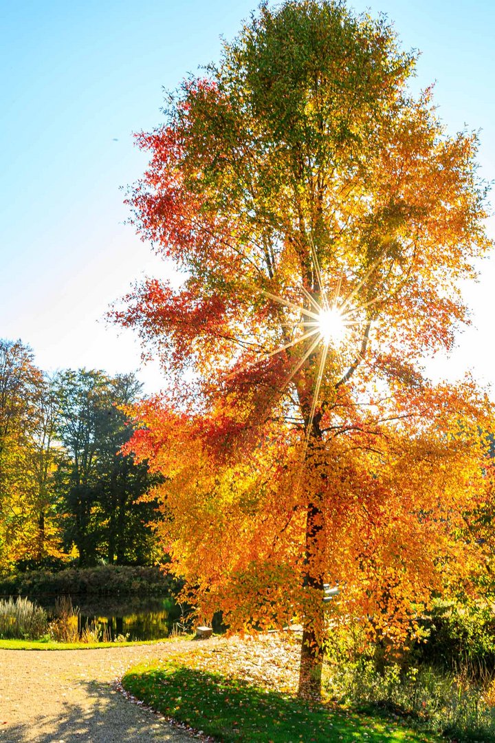 Herbstlandschaften