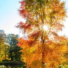 Herbstlandschaften