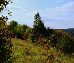 herbstlandschaften (1)