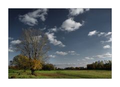 Herbstlandschaften